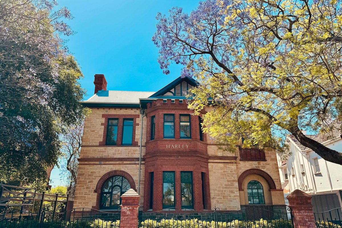 Australian Federation-era heritage residence framed by a flowering jacaranda tree